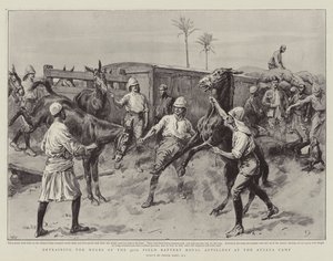 Déchargement des mules de la 32e batterie de campagne de l
